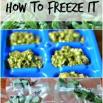 How to Freeze Pesto & Customizable Pesto