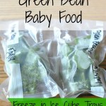 How To Make Homemade Green Bean Baby Food