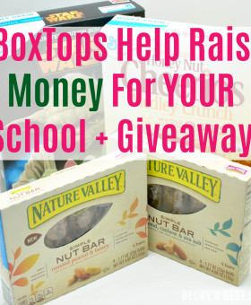 Learn the easy way eBoxTops Help Raise Money For Your School and a $15 PayPal Cash Giveaway. Contest alert sweepstakes entry sweeps giveaways | beckysbestbites.com